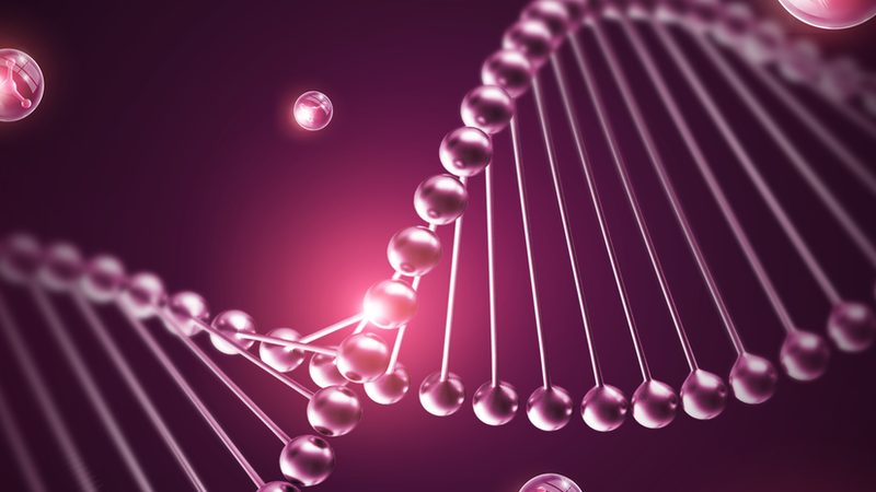 解码治疗性抗体：分类解析与价格考量