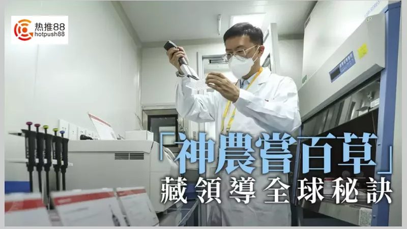 遗传病基因检测：如何准确解读结果**