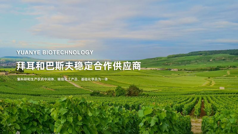 离心管安装工具：实验室效率提升的关键**