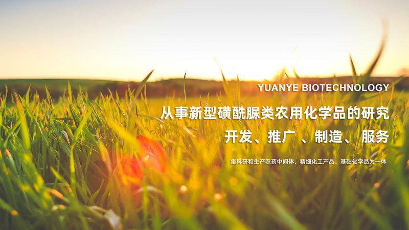 成都离心管批发，如何挑选优质品牌？**
