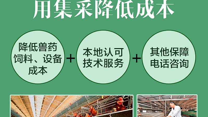 逆转录试剂直销背后，行业正在经历什么