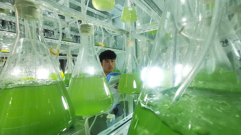 数字PCR与荧光定量PCR：技术差异与应用场景解析